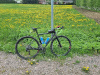 Marin Lombard Elite