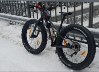 Trek Farley 5